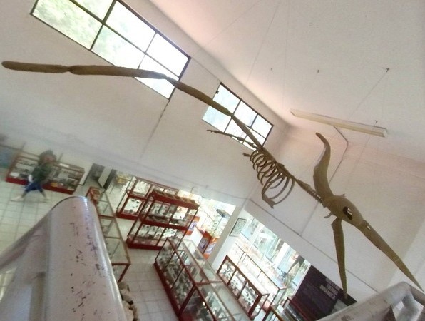 Vista del museo